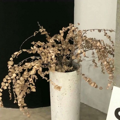 斗门FurryQQ群介绍